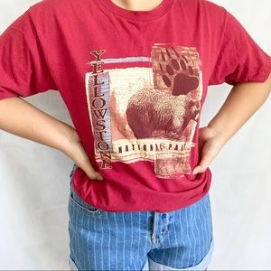 Yellowstone National Park Graphic